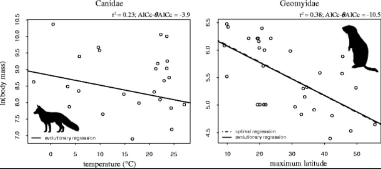 Exceptions to Bergmann's rule: Ectotherms and Island evolution